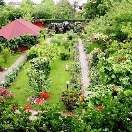 טימישוארה Pension Delia Gardens מראה חיצוני תמונה