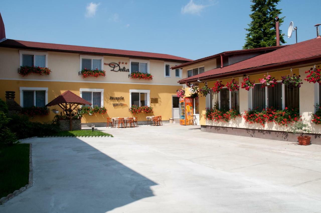 טימישוארה Pension Delia Gardens מראה חיצוני תמונה