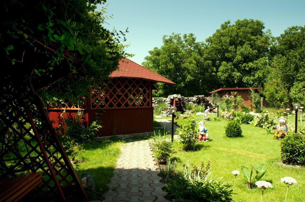 טימישוארה Pension Delia Gardens מראה חיצוני תמונה