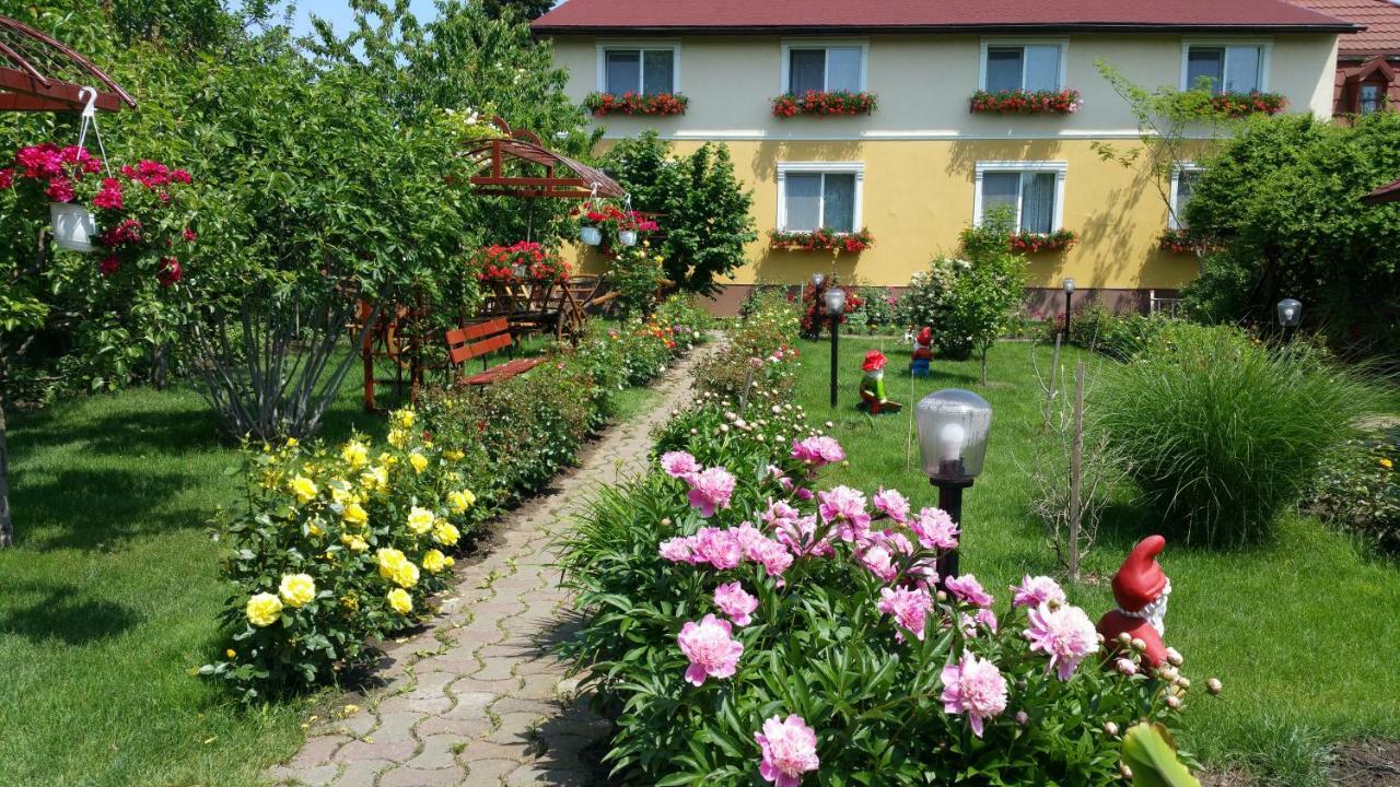 טימישוארה Pension Delia Gardens מראה חיצוני תמונה
