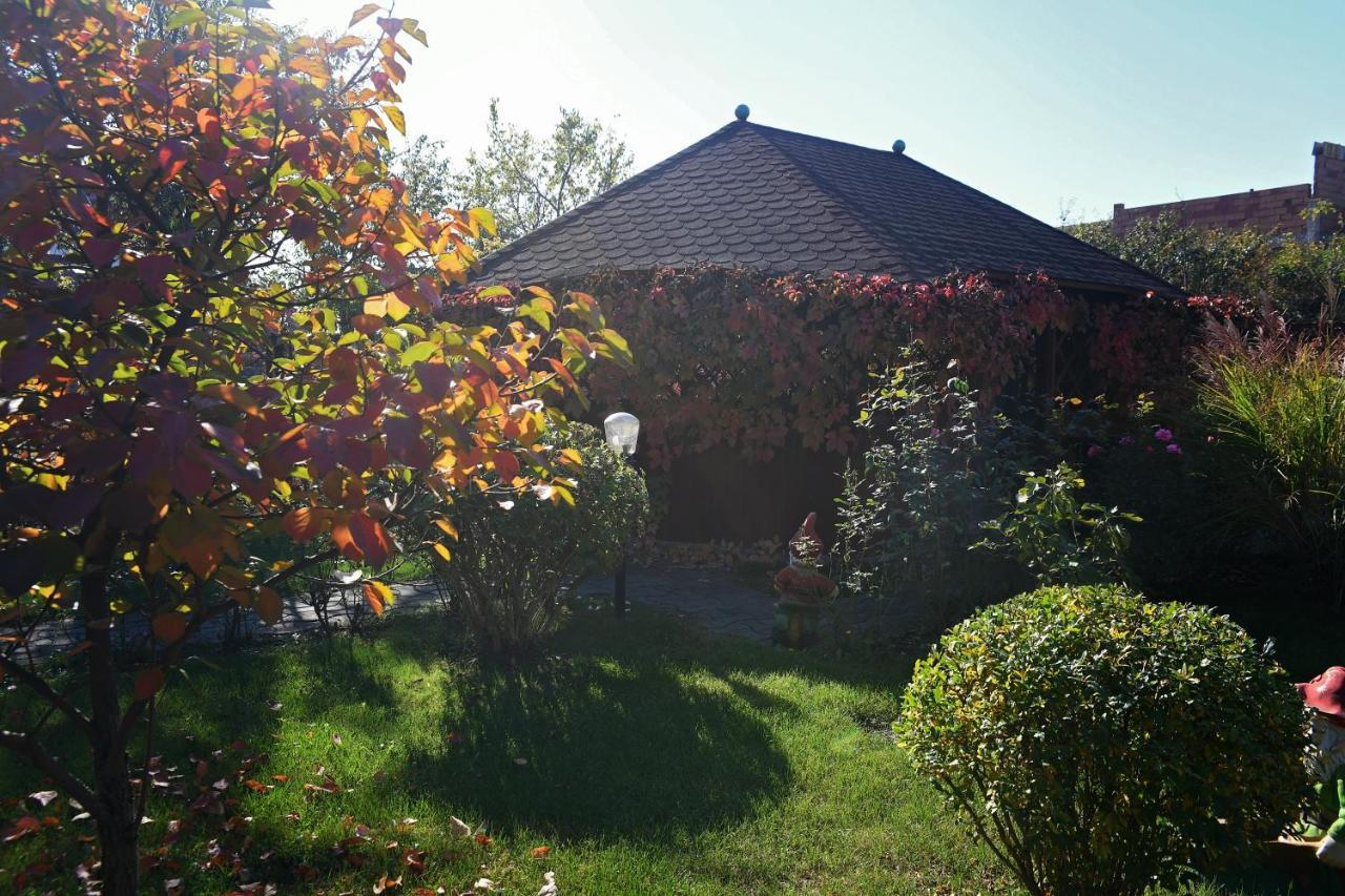 טימישוארה Pension Delia Gardens מראה חיצוני תמונה